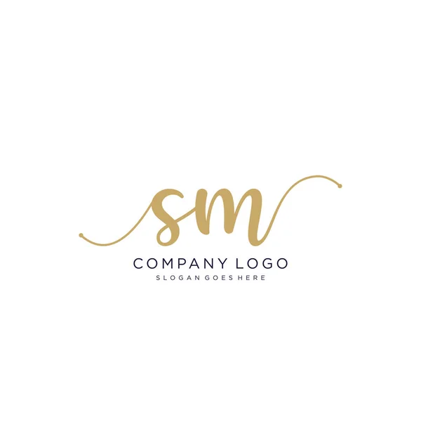 Conception Logo Manuscrite Initiale Logo Manuscrit Design Beautyful Pour Mode — Image vectorielle