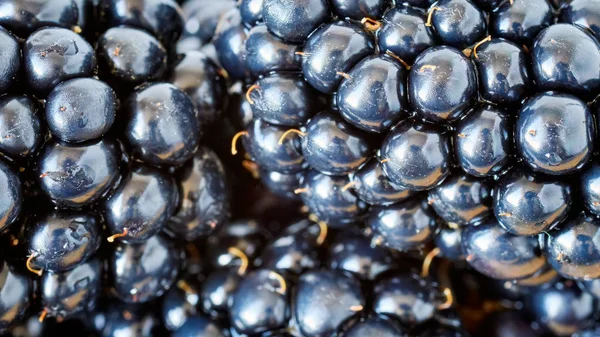 Imagen Cerca Extrema Moras Poca Profundidad Campo — Foto de Stock