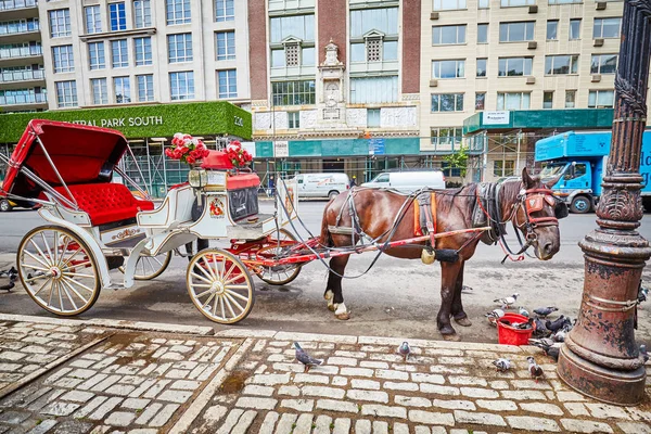 New York City Usa May 2017 Horse Carriage Central Park — Stock Photo, Image