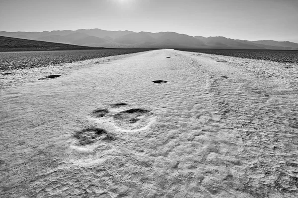 Jak Księżyc Powierzchni Badwater Basin Najniższy Punkt Ameryce Północnej Głębokości — Zdjęcie stockowe