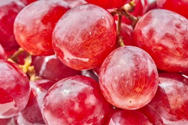 Imagem Perto Uvas Vermelhas Foco Seletivo — Fotografia de Stock