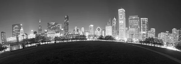 Imagem Lente Peixe Preto Branco Horizonte Chicago Noite Eua — Fotografia de Stock