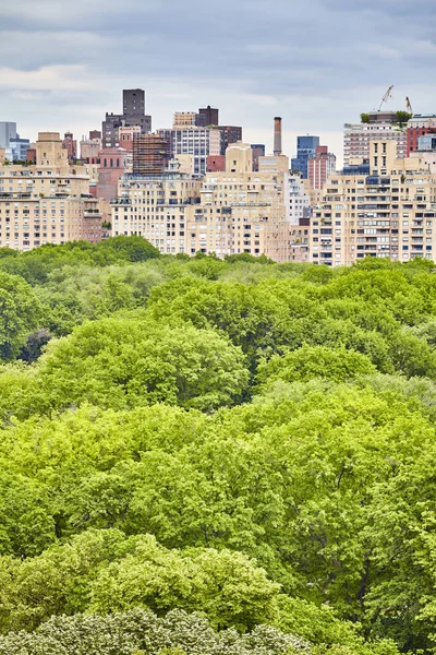 Central Park Und Manhattan Upper East Side New York City — Stockfoto