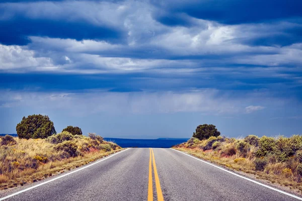 Strada Vuota Con Cielo Drammatico Attenzione Agli Alberi Foto Colori — Foto Stock