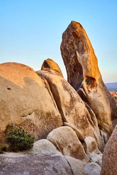 Unique Rock Formations Joshua Tree National Park Sunset California Usa — Stock Photo, Image