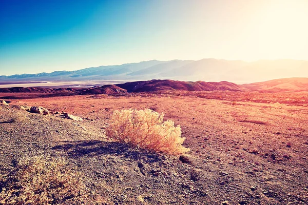 Atardecer Escénico Sobre Valle Muerte Imagen Tonificada Color California — Foto de Stock