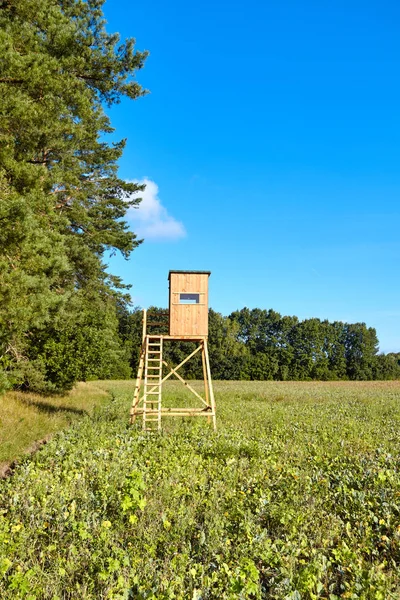 Forest Edge Wooden Deer Hunting Blind — Stock Photo, Image