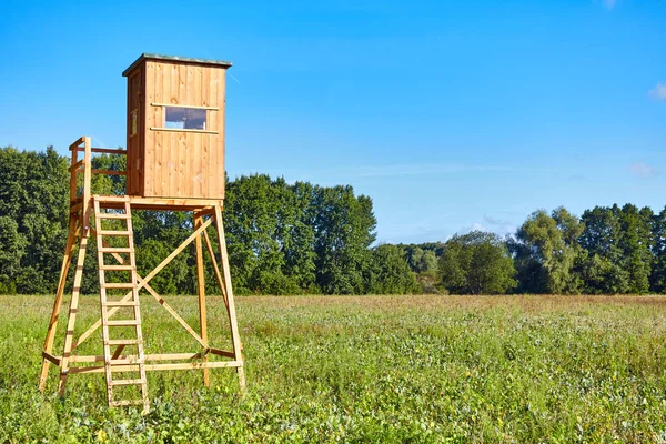 Forest Edge Wooden Deer Hunting Blind — Stock Photo, Image