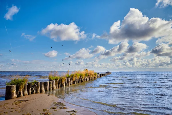 Scenic Lakeside Met Een Oude Houten Golfbreker — Stockfoto