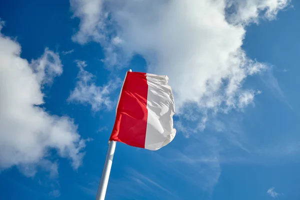 Polnische Flagge Vor Blauem Himmel Einem Sonnigen Tag — Stockfoto