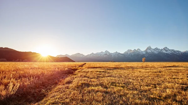Zlatý Východ Slunce Národním Parku Grand Teton Wyoming Usa — Stock fotografie