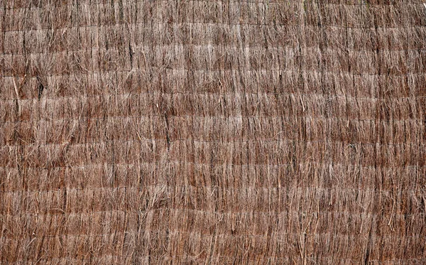 Fence Made Dried Plants Natural Background Texture — Stock Photo, Image