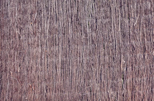 Fence Made Dried Plants Natural Background Texture — Stock Photo, Image