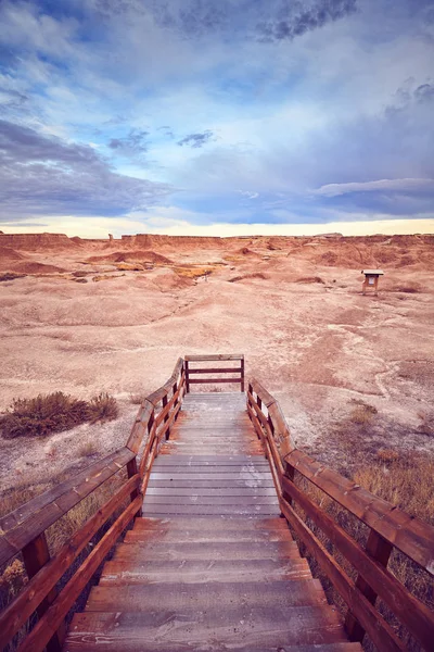 Bir Badlands Ulusal Parkı Güney Dakota Abd Için Ahşap Merdiven — Stok fotoğraf