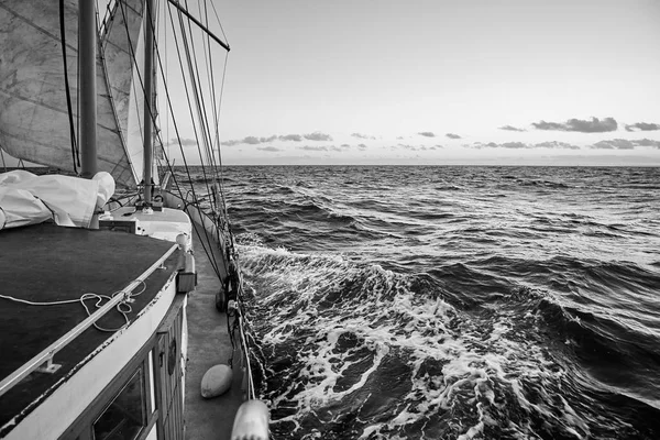 古い帆船の黒と白の写真のクルーズします — ストック写真