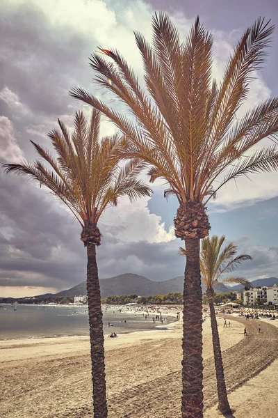 Vintage Tónovaný Obrázek Pláž Při Západu Slunce Port Alcudia Mallorca — Stock fotografie