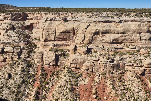 Sichtbare Gesteinsschichten Einer Schlucht Des Colorado Nationaldenkmals Colorado Usa — Stockfoto
