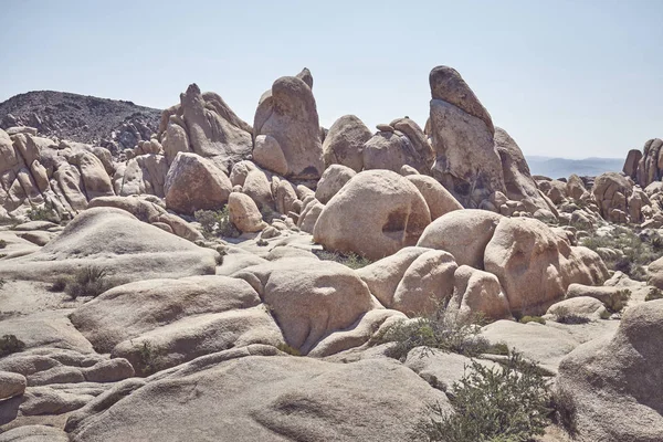 Verlassene Landschaft Des Joshua Baum Nationalparks Farbtonung Aufgetragen Kalifornien Usa — Stockfoto