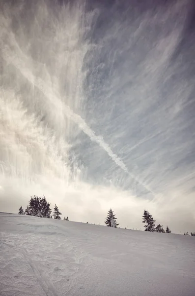 Зимові Гірські Пейзажі Кольорове Тонування — стокове фото