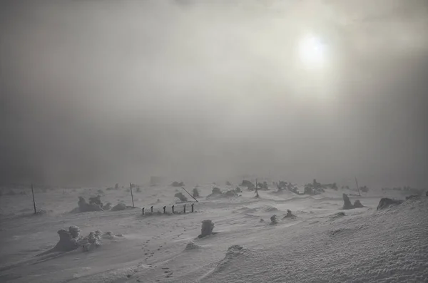 Cenário Montanha Inverno Durante Uma Nevasca — Fotografia de Stock