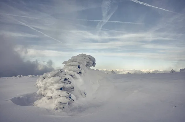 Cenário Montanha Inverno Com Árvores Cobertas Neve Tonificação Cor Aplicada — Fotografia de Stock