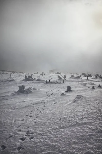 Paysage Montagne Hivernal Pendant Blizzard — Photo