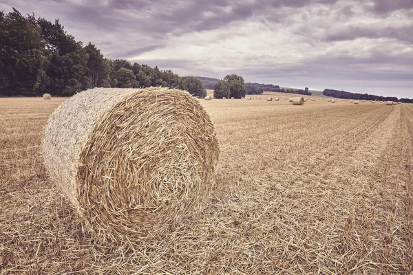 Halm Runda Bal Ett Fält Slutet Skördesäsongen Färg Tonad Bild — Stockfoto