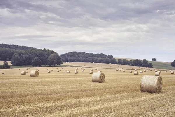 Kulaté Balíky Slámy Poli Konci Období Sklizně Barva Tónovaný Obrázek — Stock fotografie