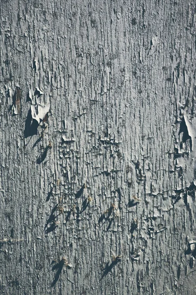 Old Wall Peeling Paint Insects Color Toned Grunge Background — Stock Photo, Image