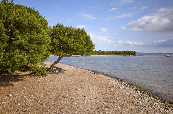 Playa Cerca Port Alcudia Costa Norte Mallorca España — Foto de Stock