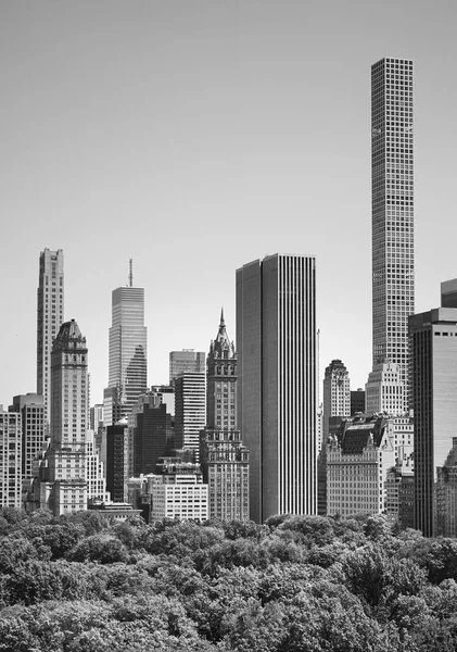 Чорно Біле Зображення Хмарочосів Нью Йорка Центральний Парк Сша — стокове фото