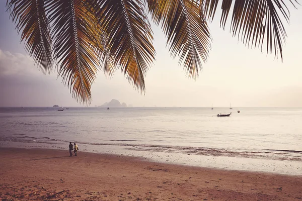 Playa Tropical Atardecer Enfoque Hojas Palma Imagen Tonificada Color Tailandia — Foto de Stock