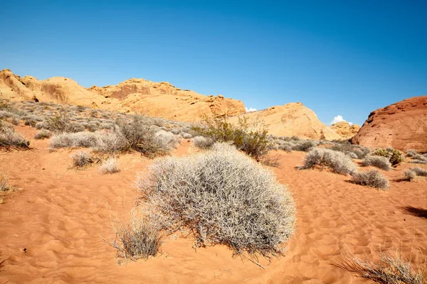 Divočina Údolí Ohně Státní Park Nevada Usa — Stock fotografie