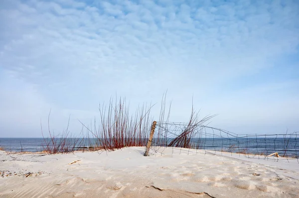 해변 모래 언덕에 울타리와 함께 프리 — 스톡 사진