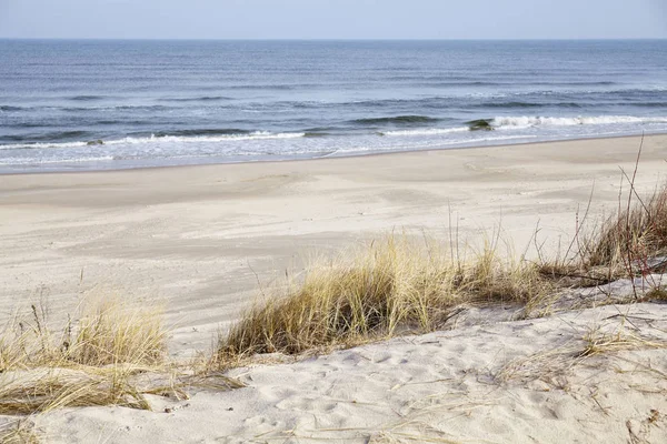 Szárított fű a strand-dune. — Stock Fotó
