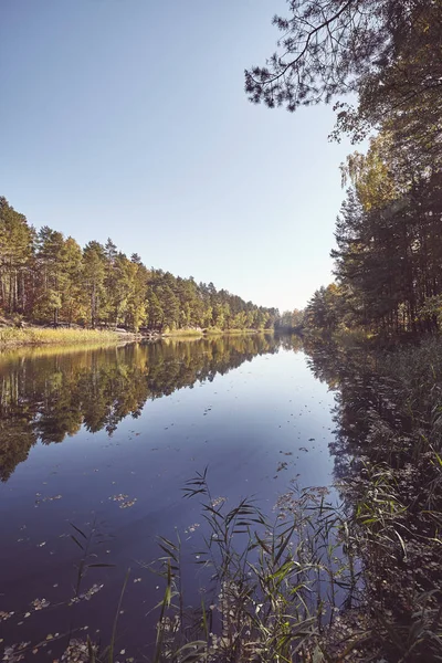 Forest reflected in a lake. — Stock Photo, Image