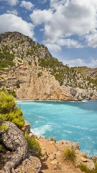 Scenic path to the Coll Baix beach on Mallorca. — Stock Photo, Image