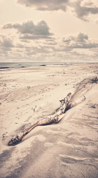 Imagen retro tonificada de un trozo de madera en la playa . — Foto de Stock
