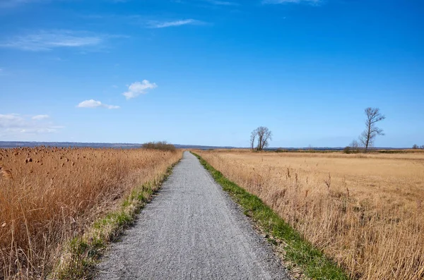 Landschap met een pad van het platteland in het voorjaar — Stockfoto