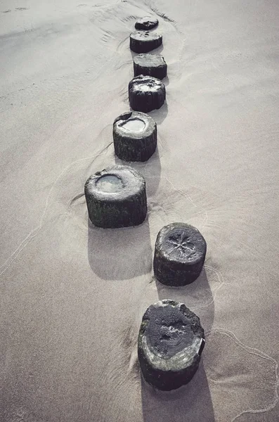 Los pilares De madera de rompeolas de mar se queda en la playa . — Foto de Stock