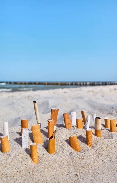 Photo rapprochée de mégots de cigarette coincés dans du sable sur une plage . — Photo