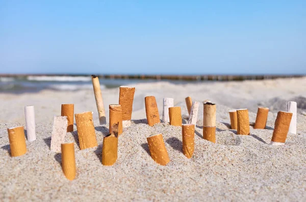 Photo rapprochée de mégots de cigarette coincés dans du sable sur une plage . — Photo