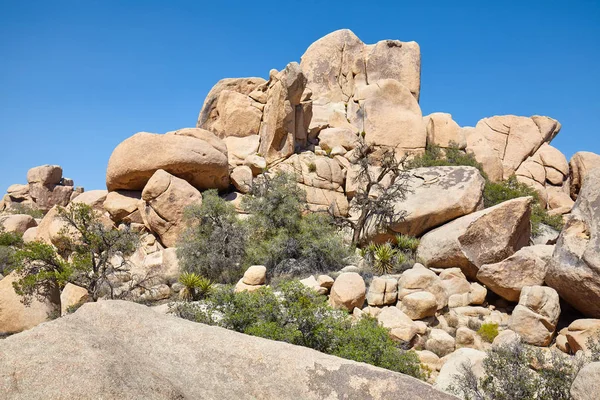 Rock formations in the Joshua Tree National Park, USA. — Stock Photo, Image