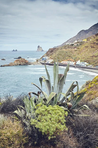 Malebná pobřežní oblast Taganana, Tenerife, Španělsko. — Stock fotografie