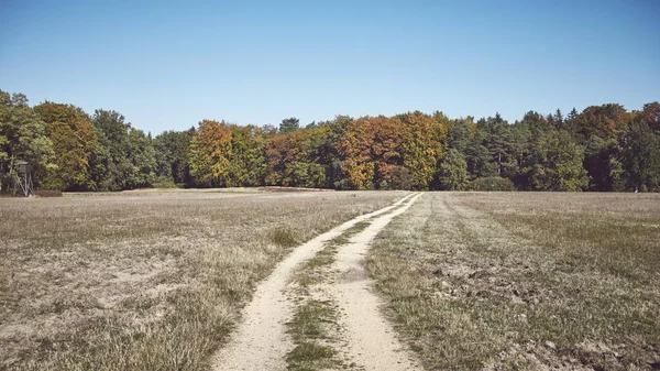 Camino de tierra que conduce hacia un bosque . — Foto de Stock