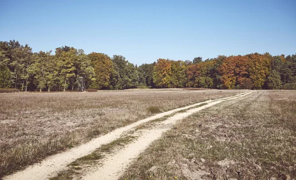 Imagen retro tonificada de un camino de tierra que conduce hacia un bosque — Foto de Stock