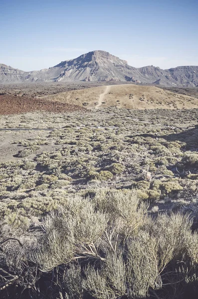 Retro fotka v národním parku Teide, Tenerife. — Stock fotografie