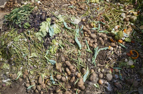 Compost rural con restos de verduras y frutas —  Fotos de Stock