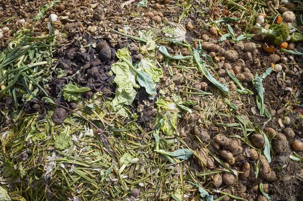 Compost rural con restos de verduras y frutas —  Fotos de Stock