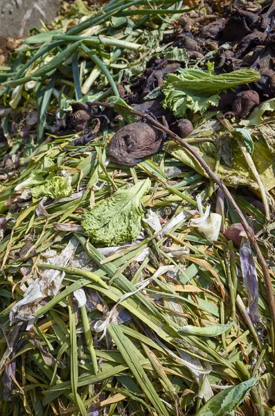 Kompos pedesaan dengan potongan sayuran . — Stok Foto